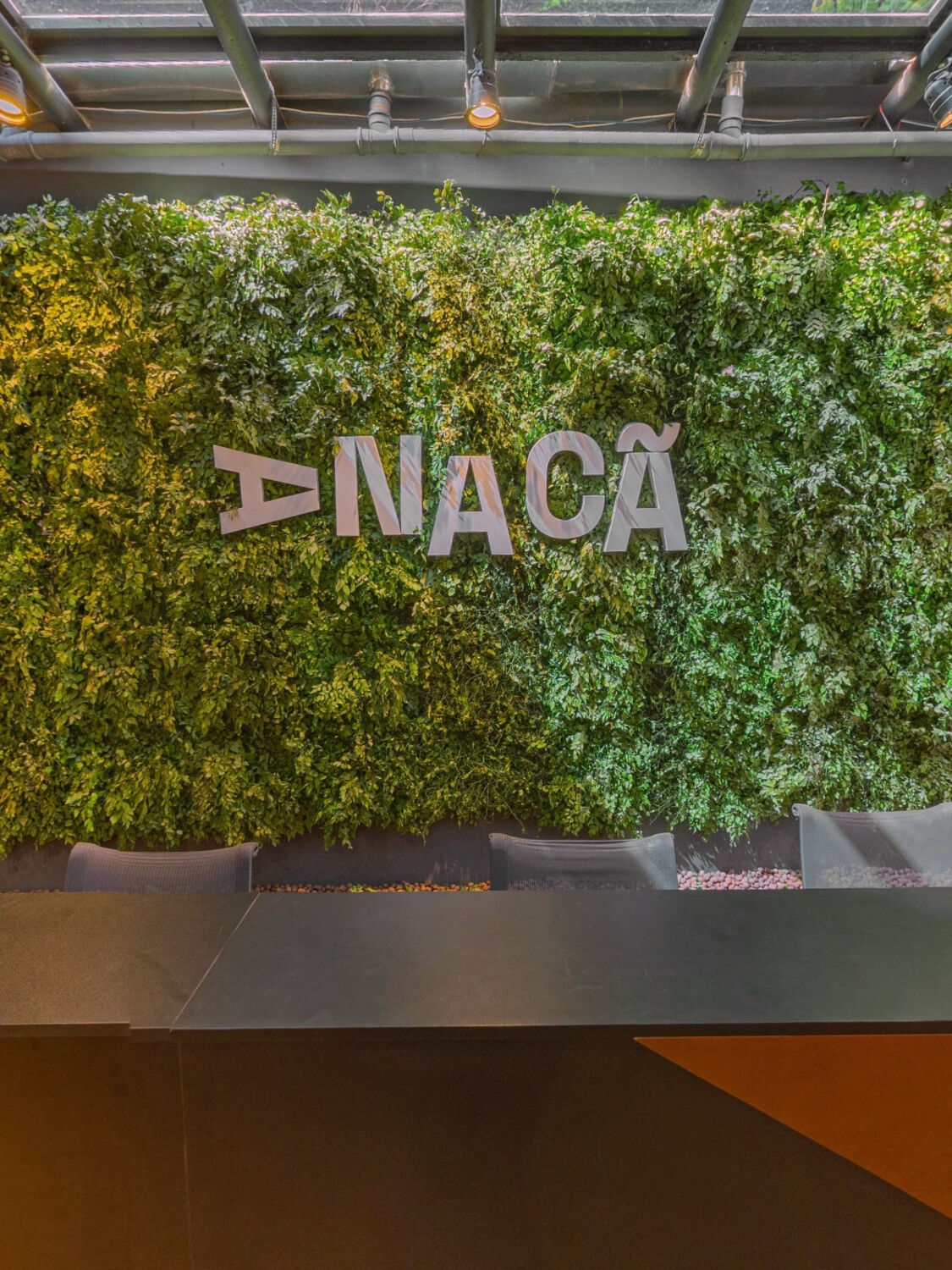 Parede verde da recepção do Estúdio Anacã, com o nome do estúdio